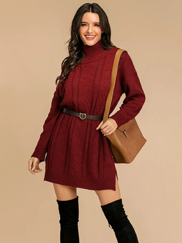 Slit Turtleneck Long Sleeve Mini Sweater Mini Dress